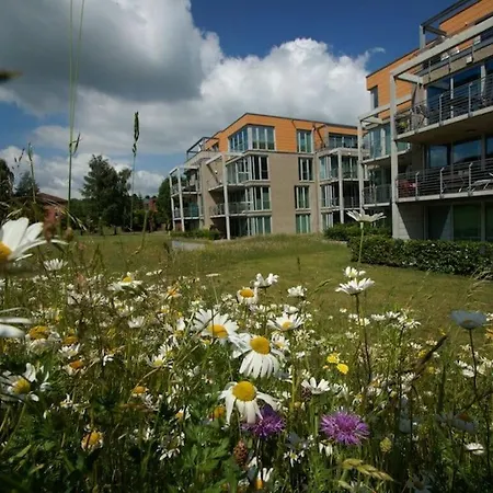 Reese Uitzicht Op De Trave *