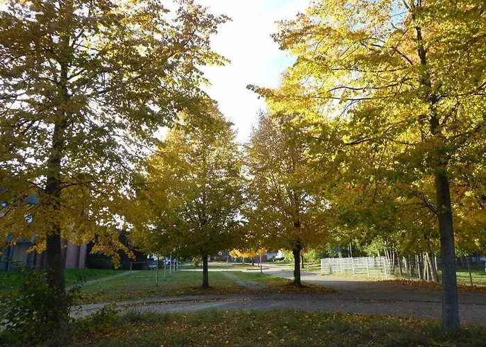 Reese Uitzicht Op De Trave بيت للعطل *