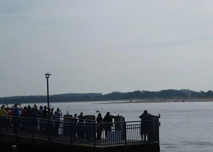 Reese Uitzicht Op De Trave 펜션