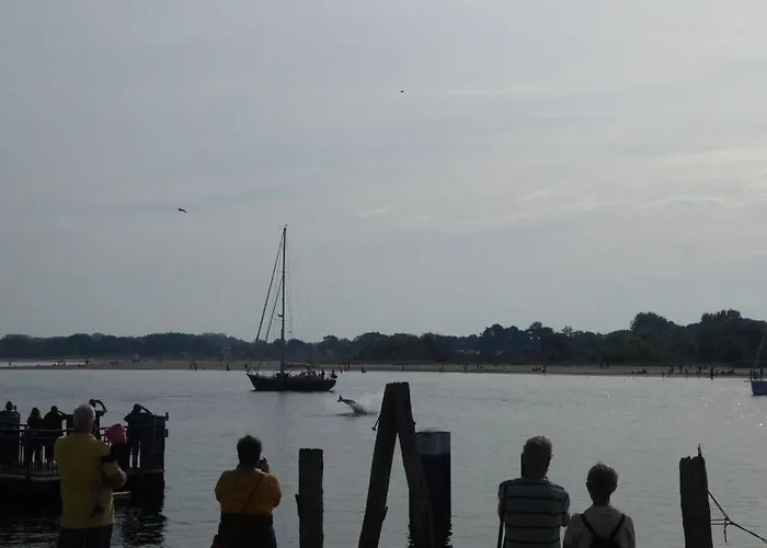 펜션 Reese Uitzicht Op De Trave *